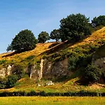 In With Forest * Ulestraten