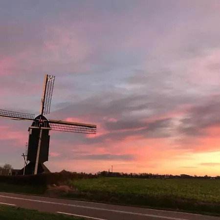 In With Forest Ulestraten