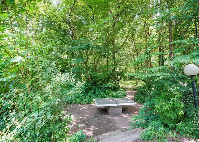 別荘 In With Forest