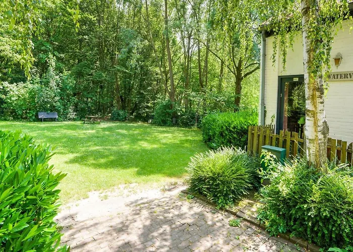 In With Forest * Ulestraten