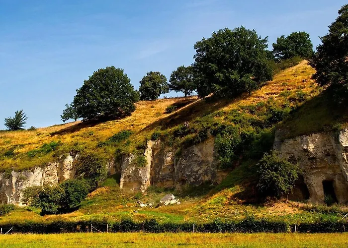 In With Forest * Ulestraten