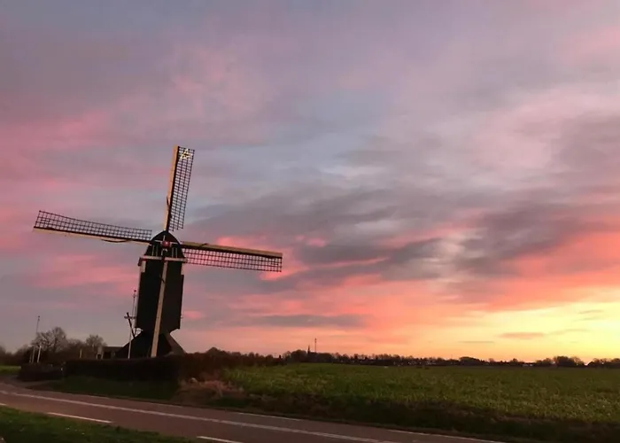 In With Forest Ulestraten