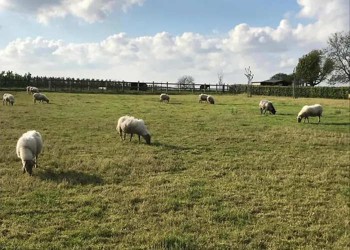 بيت للعطل In With Forest