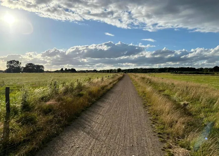 In With Forest * Ulestraten