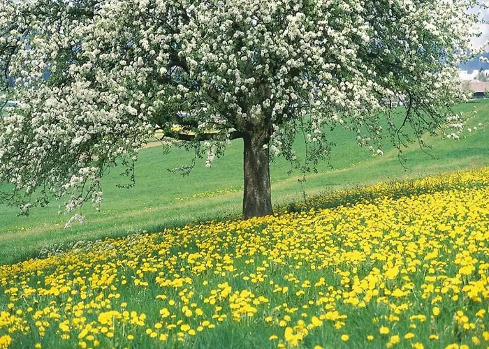 In With Forest * Ulestraten